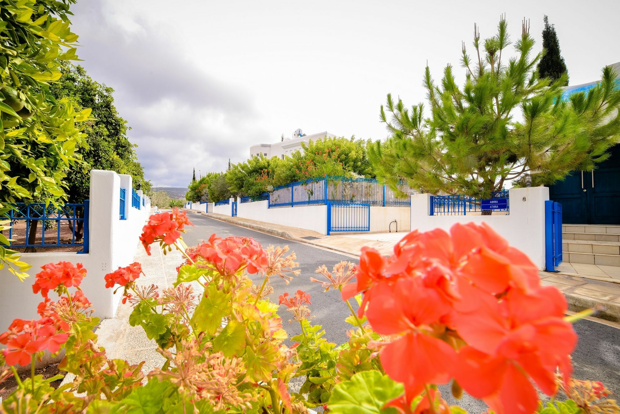 Sanders Azzurro Paphos Buitenkant foto